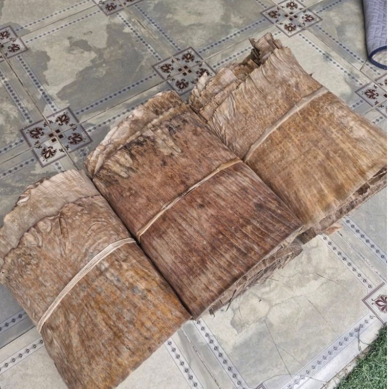 DRIED VIETNAMESE BANANA LEAVES 1KG – NATURAL FOOD-WRAPPING MATERIAL | WHOLESALE EXPORT 2