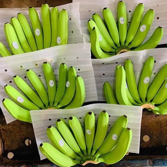 FRESH VIETNAMESE CAVENDISH BANANAS – EXPORT SUPPLY | FOR SMOOTHIES, DESSERTS & FOODservice