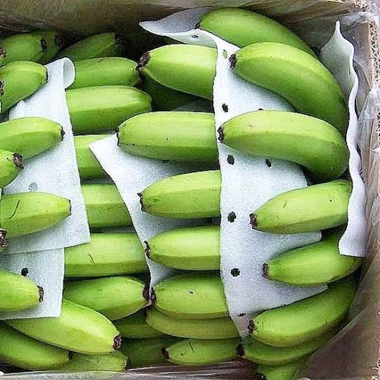 FRESH VIETNAMESE CAVENDISH BANANAS – EXPORT SUPPLY | FOR SMOOTHIES, DESSERTS & FOODservice 2