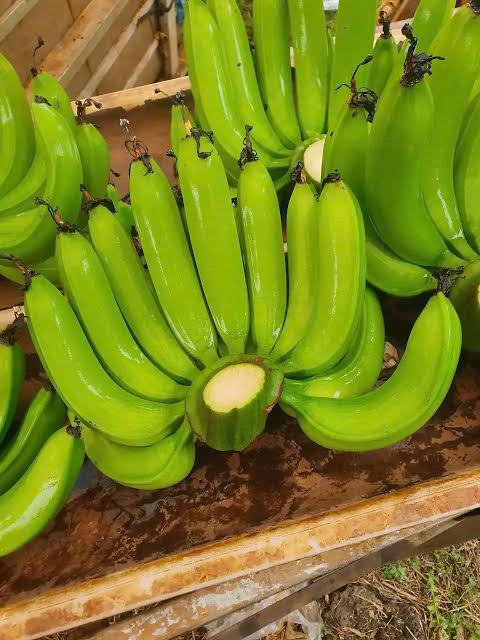 FRESH VIETNAMESE CAVENDISH BANANAS – EXPORT SUPPLY | FOR SMOOTHIES, DESSERTS & FOODservice 3