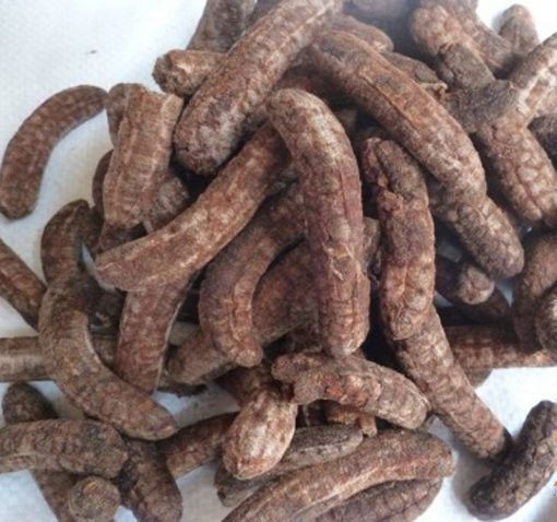 QUANG NAM CAU BANANAS – FRESH VIETNAMESE SPECIALTY FRUIT | WHOLESALE EXPORT 4
