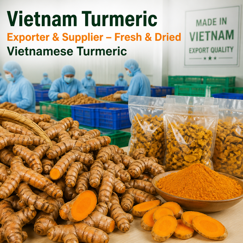 Vietnam Turmeric Exporter & Supplier – Fresh & Dried Vietnamese Turmeric