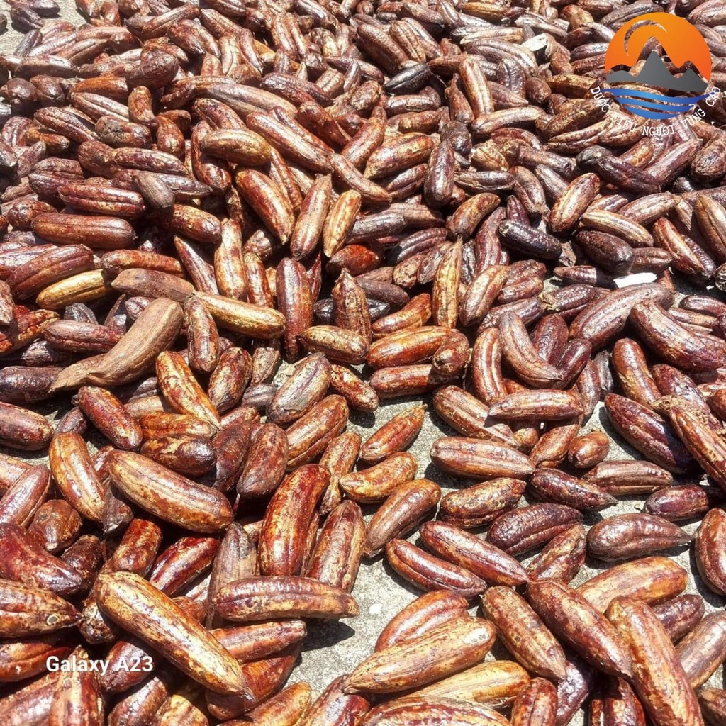 DRIED VIETNAMESE WILD BANANAS 1KG – TAY NGUYEN SPECIALTY | WHOLESALE EXPORT SUPPLY 4