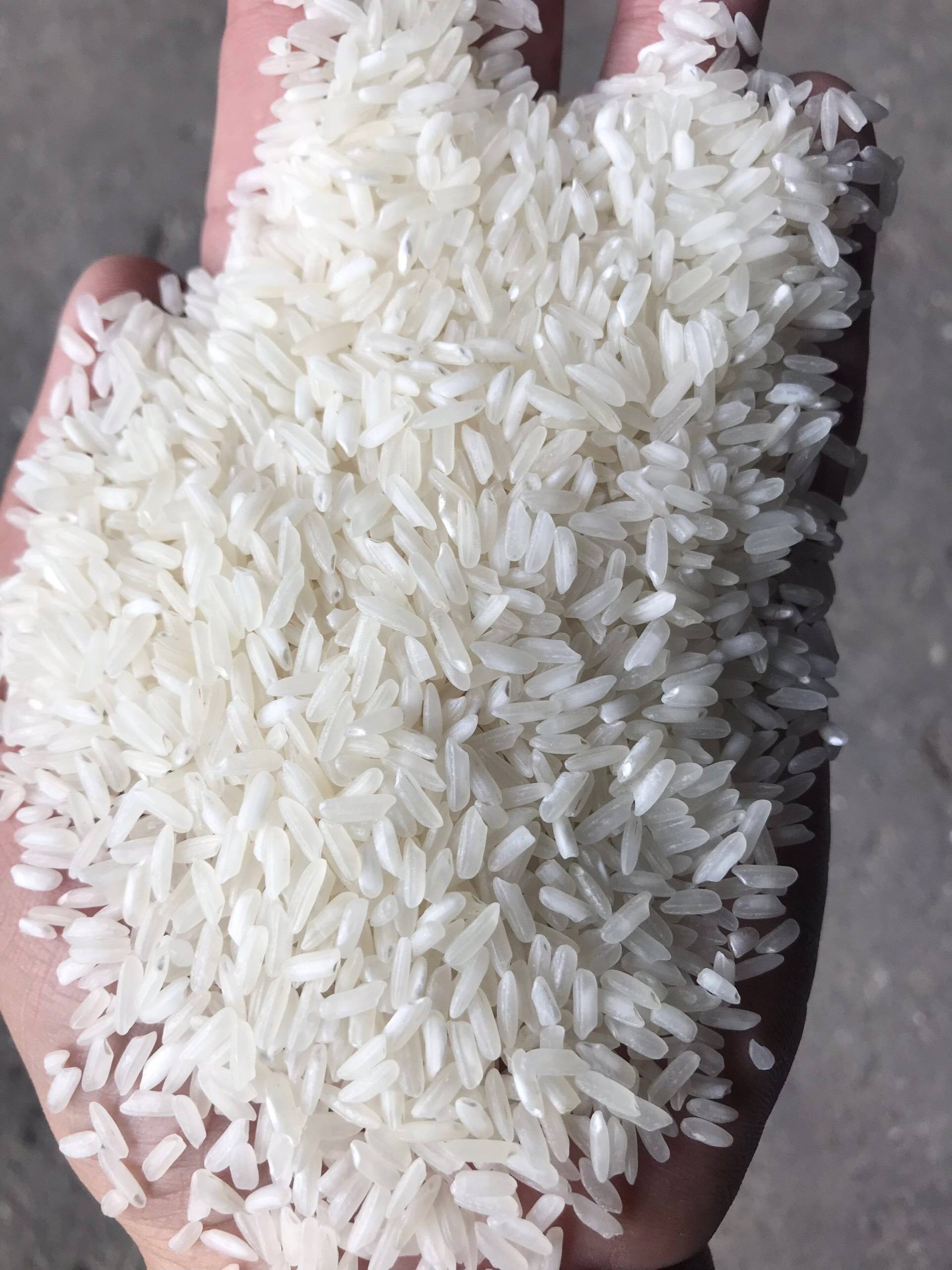 VIETNAMESE LONG-GRAIN WHITE RICE 5% BROKEN – BULK BAGGED | WHOLESALE EXPORT 4