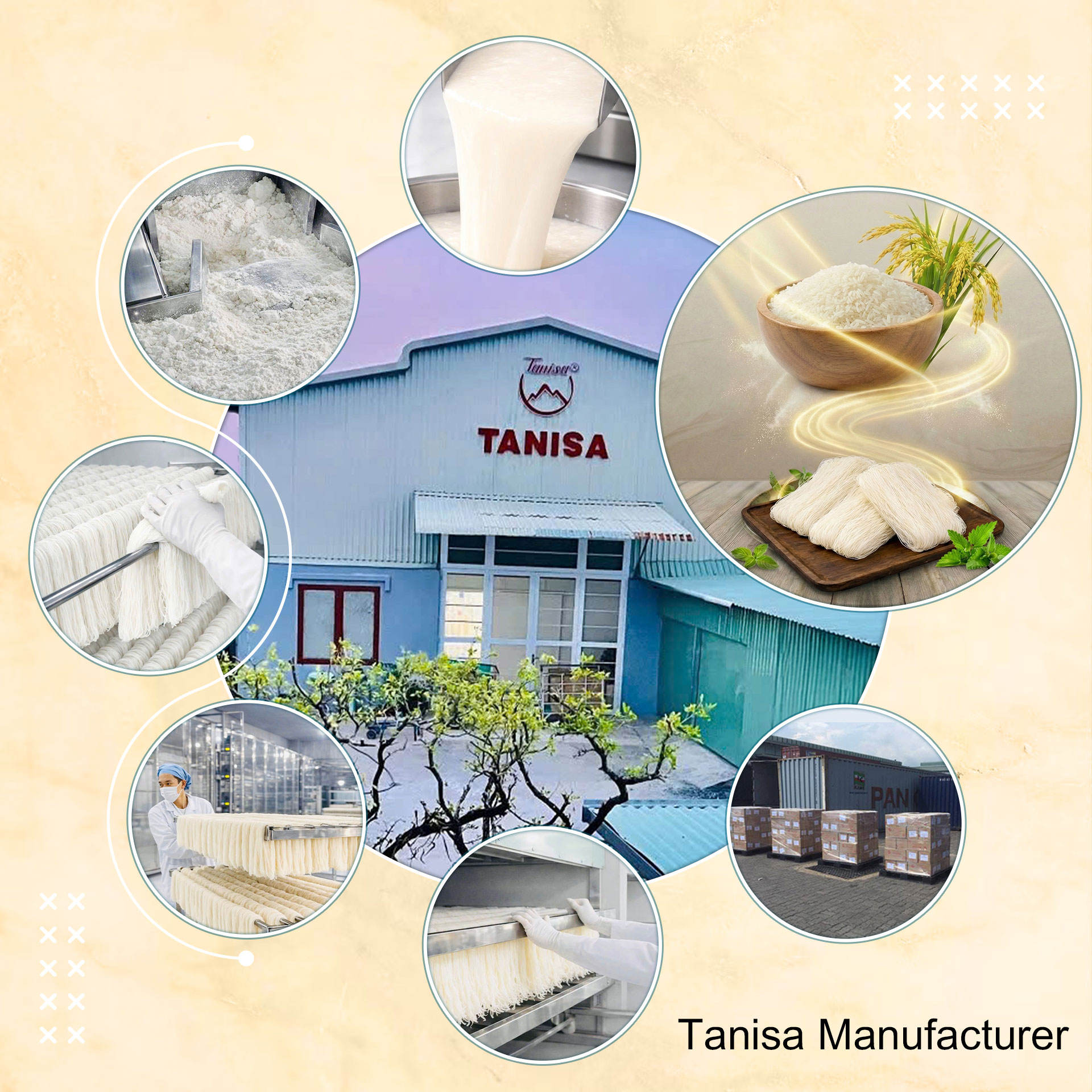 VIETNAMESE RICE VERMICELLI – HALAL, ISO & HACCP CERTIFIED MANUFACTURER | OEM & PRIVATE LABEL 2