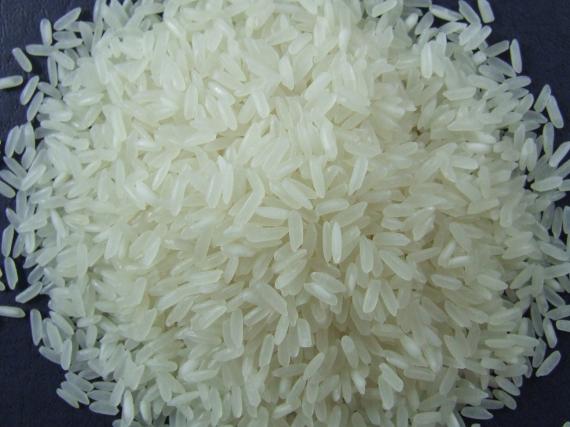 PREMIUM VIETNAMESE JASMINE WHITE RICE – LONG GRAIN | OEM/ODM & PRIVATE LABEL 2