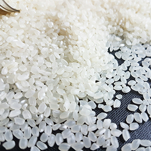 PREMIUM VIETNAMESE JAPONICA RICE 5% BROKEN – COMPETITIVE PRICE | DIRECT EXPORT SUPPLY