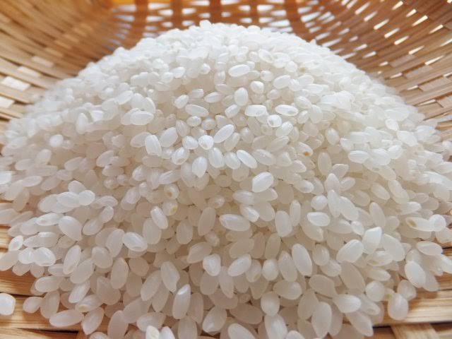 PREMIUM VIETNAMESE JAPONICA RICE 5% BROKEN – COMPETITIVE PRICE | DIRECT EXPORT SUPPLY 4