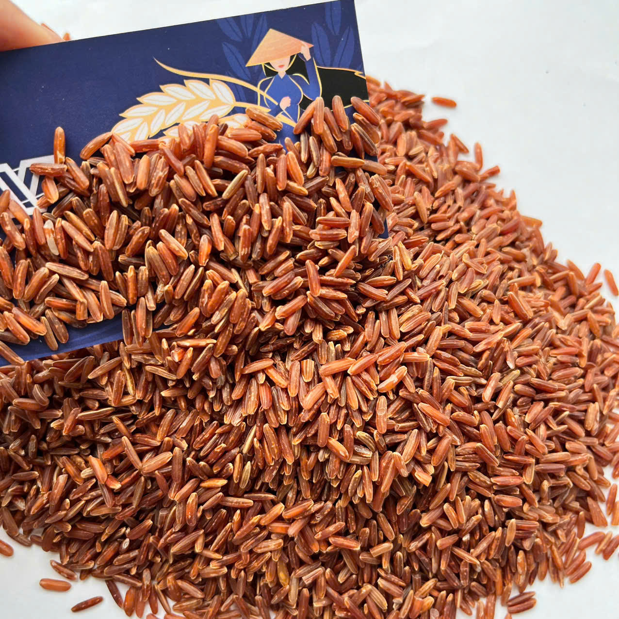 ORGANIC VIETNAMESE RED RICE 5% BROKEN – PREMIUM WHOLESALE EXPORT 3