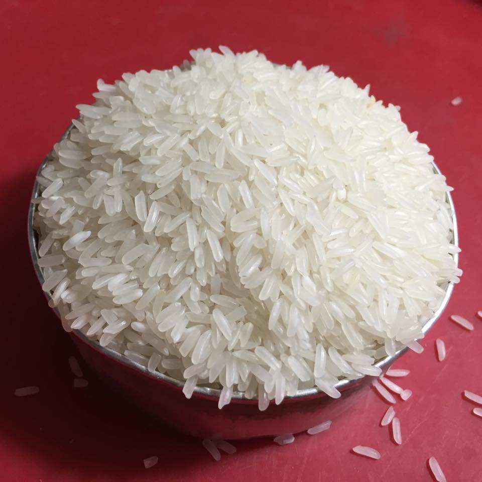VIETNAMESE JASMINE WHITE RICE 5% BROKEN – COMPETITIVE WHOLESALE PRICE | EXPORT SUPPLY