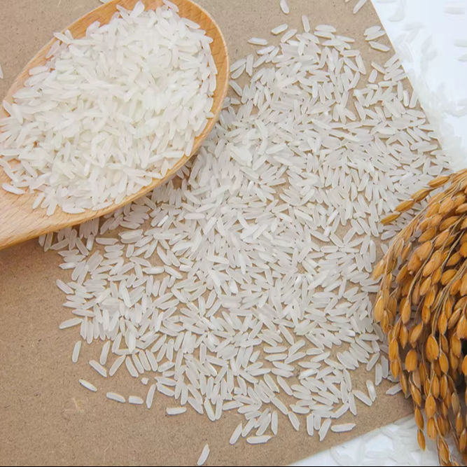 VIETNAMESE JASMINE WHITE RICE 5% BROKEN – COMPETITIVE WHOLESALE PRICE | EXPORT SUPPLY 2