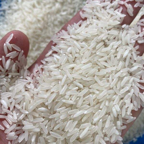 PREMIUM VIETNAMESE AROMATIC RICE – BULK SUPPLY | WHOLESALE & CUSTOM ORDERS 3