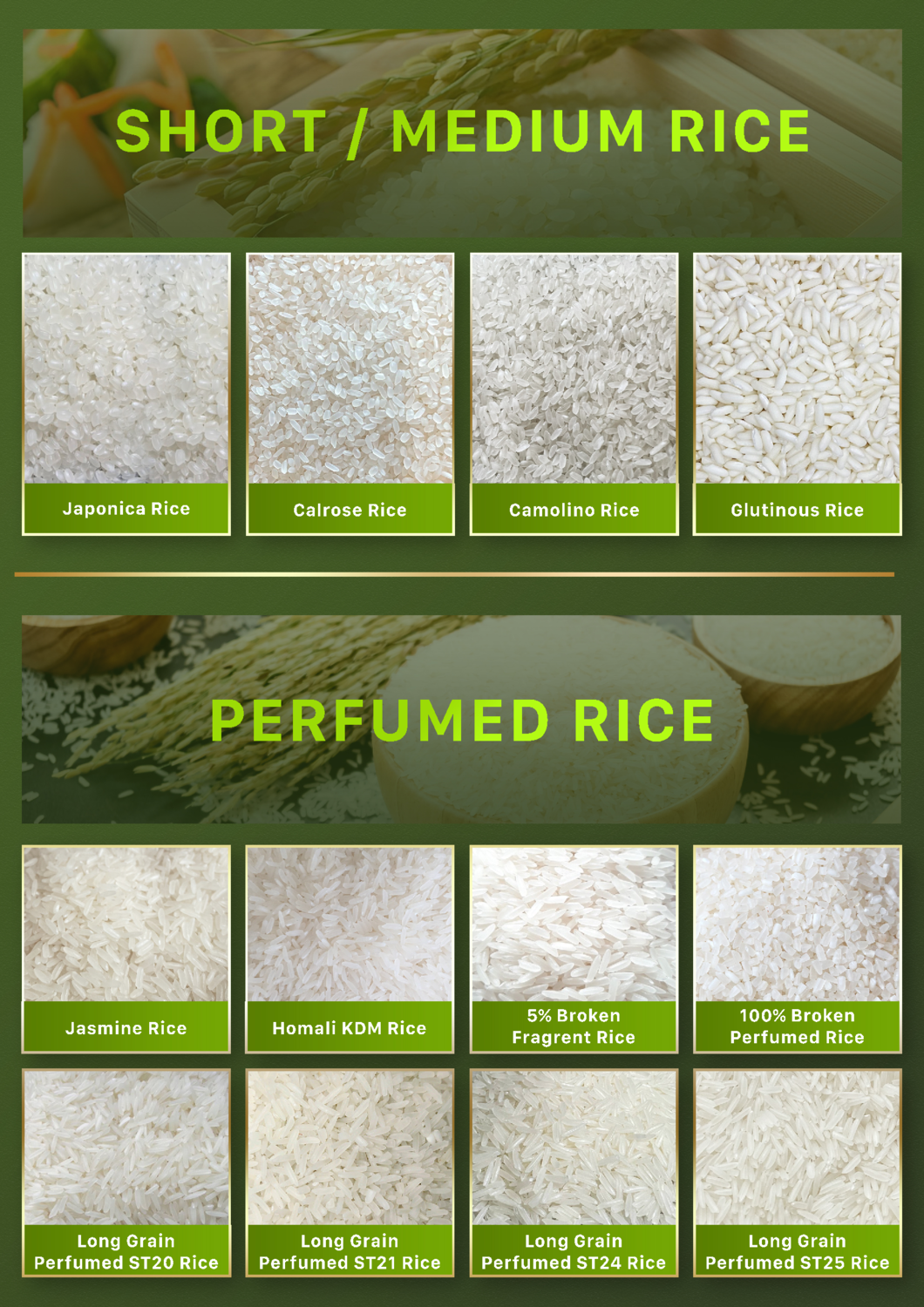 PREMIUM VIETNAMESE CALROSE-STYLE RICE – SHORT GRAIN | MEKONG DELTA BULK EXPORT 3
