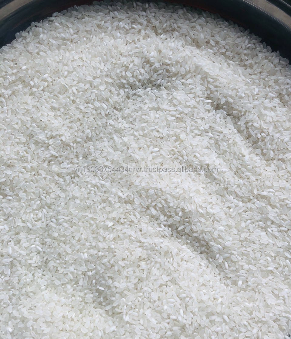 PREMIUM VIETNAMESE CALROSE-STYLE RICE – SHORT GRAIN | MEKONG DELTA BULK EXPORT 4