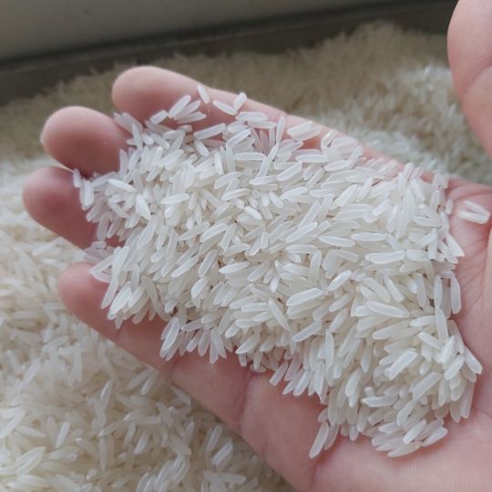 PREMIUM VIETNAMESE TAM THOM RICE – AROMATIC WHITE RICE | WHOLESALE EXPORT SUPPLY