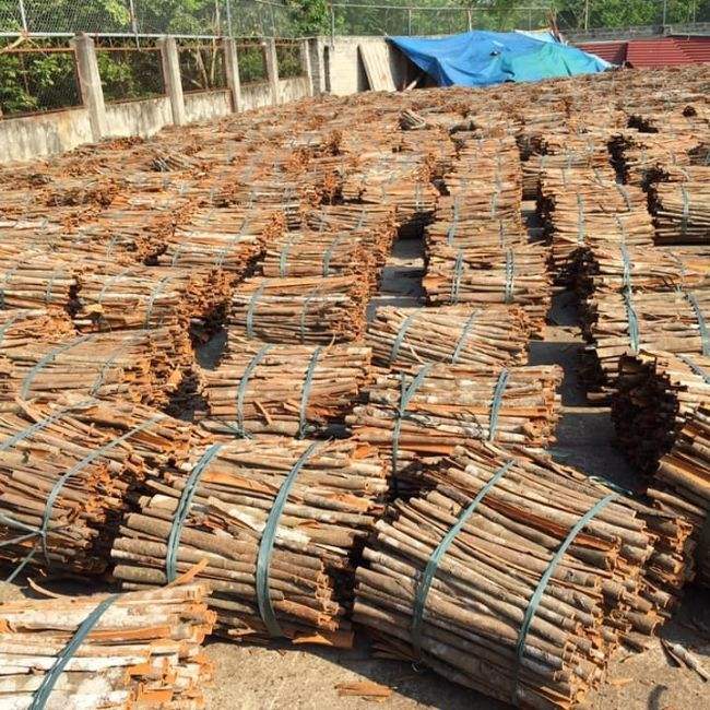 VIETNAMESE CINNAMON STICKS – BAKING & BEVERAGE USE | WHOLESALE EXPORT SUPPLY 3