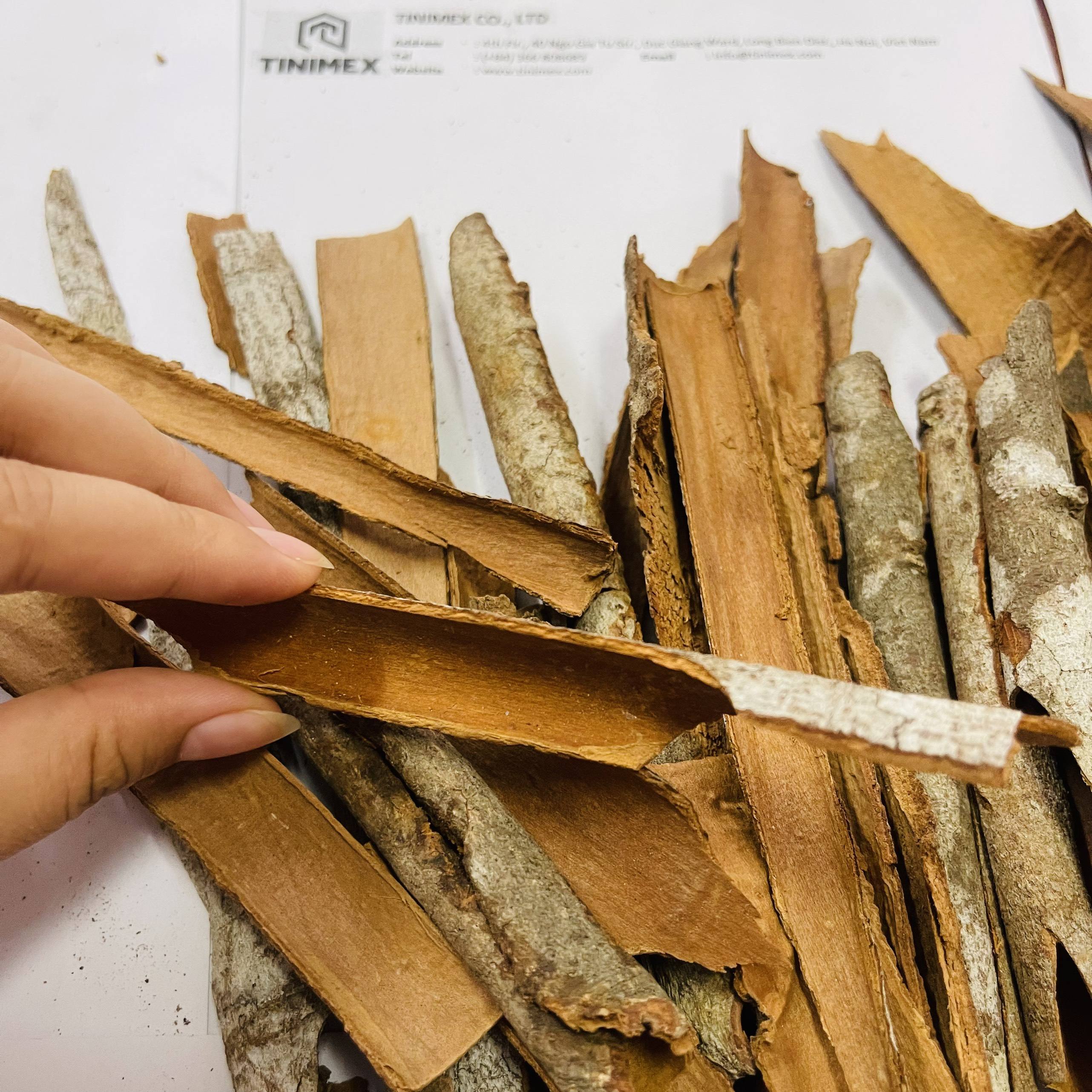 PREMIUM VIETNAMESE CASSIA SPINY CINNAMON – DRIED WHOLE SPICE | 10KG CARTON