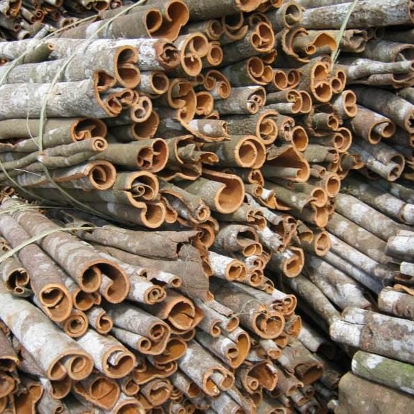 VIETNAMESE CASSIA CINNAMON STICKS – 95% NATURAL | 10KG | BRC-ALIGNED EXPORT SUPPLY