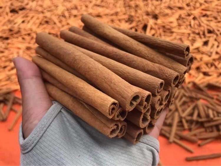 NATURAL BROWN VIETNAMESE CINNAMON STICKS – 10KG | OEM/ODM WHOLESALE 2