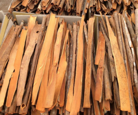 VIETNAMESE CASSIA CINNAMON – FACTORY DIRECT WHOLESALE | NATURAL OIL | FOOD PROCESSING & EXPORT 2
