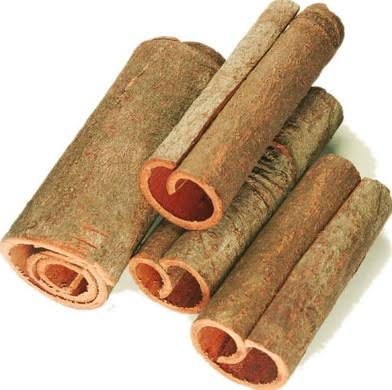 VIETNAMESE FRESH CINNAMON – RAW PROCESSING | ODM SERVICE | FOOD INGREDIENT 3