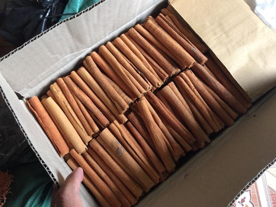 PREMIUM HAND-PROCESSED VIETNAMESE CINNAMON – DRIED SLICES | 10KG | WHOLESALE EXPORT 4