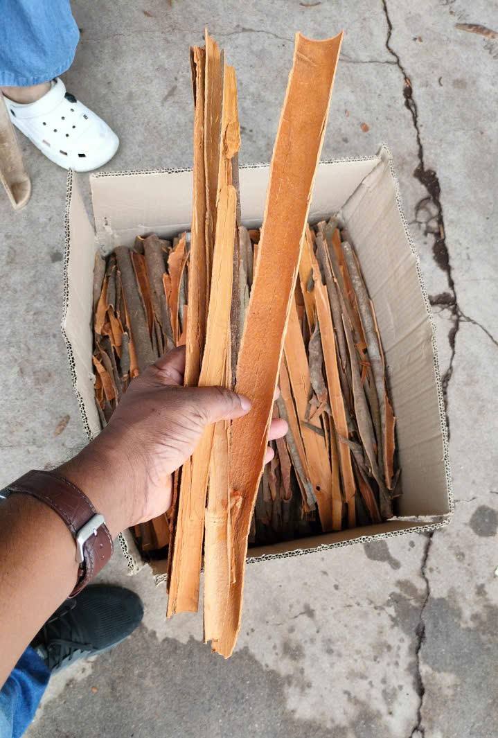PURE DRIED VIETNAMESE CASSIA CINNAMON BARK – ROASTED & PROCESSED | FOOD INDUSTRY | DIRECT EXPORT 3