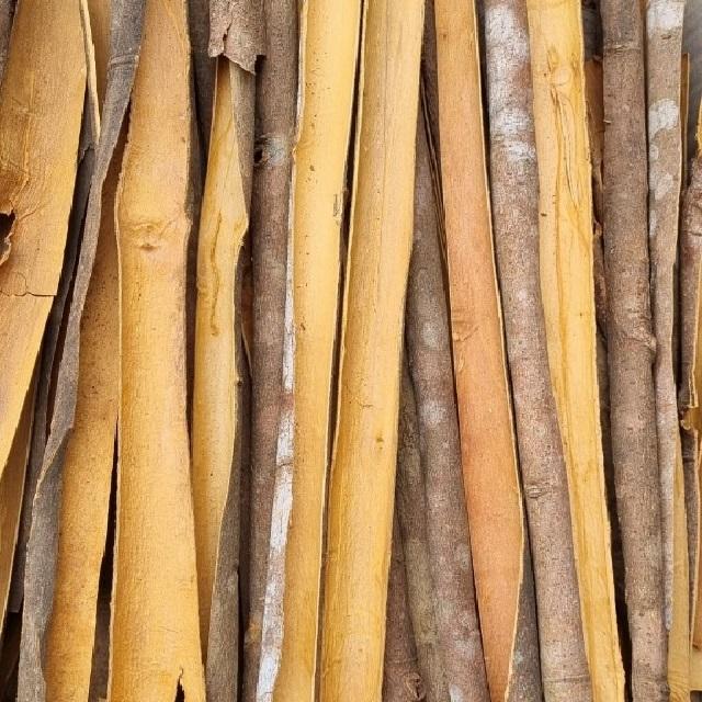 VIETNAMESE CASSIA CINNAMON – SPLIT BARK | SPICY & AD-DRIED | 24–36 MONTH SHELF LIFE