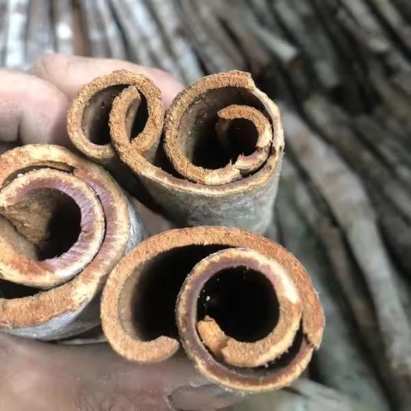 VIETNAMESE ALLSPICE – WHOLE & CUT | COOKING & DECORATION | EXPORT SUPPLY 2