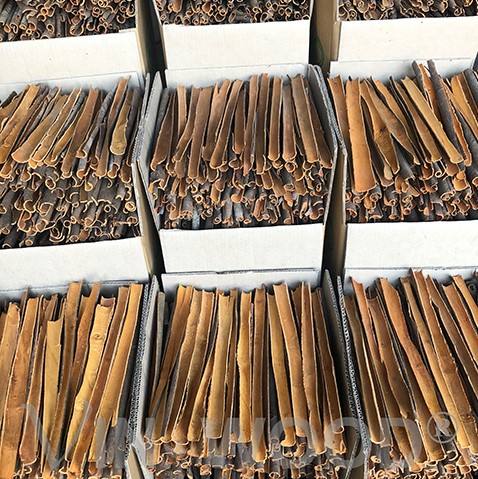 VIETNAMESE SPLIT CINNAMON SLICES – DRIED SPICE | COST-EFFECTIVE WHOLESALE EXPORT