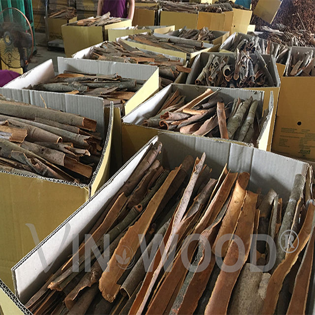 VIETNAMESE SPLIT CINNAMON SLICES – DRIED SPICE | COST-EFFECTIVE WHOLESALE EXPORT 4