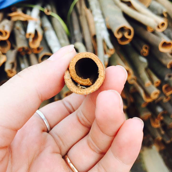 YEN BAI VIETNAMESE CINNAMON STICKS – FRESH & DRIED | 1,000KG BULK | WHOLESALE EXPORT