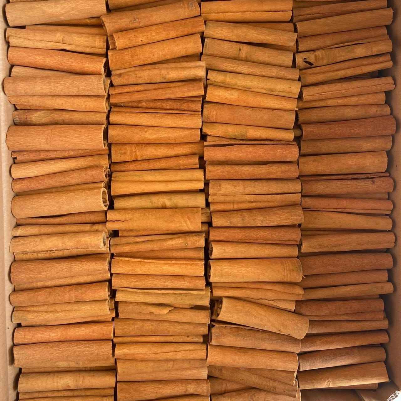 YEN BAI VIETNAMESE CINNAMON STICKS – FRESH & DRIED | 1,000KG BULK | WHOLESALE EXPORT 3