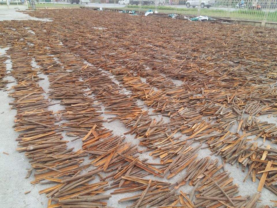 PREMIUM VIETNAMESE DRIED CINNAMON POWDER – 20KG PP/PE CARTON | EXPORT SPICE SUPPLY 3