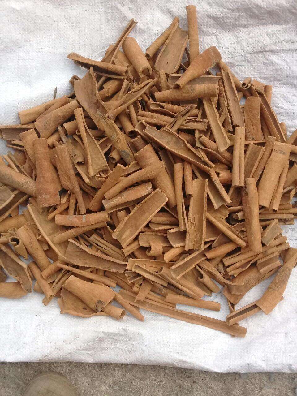 VIETNAMESE CASSIA CINNAMON BROKEN PIECES – PRESSED CINNAMON | COMPETITIVE WHOLESALE EXPORT 3