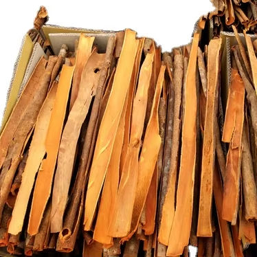 VIETNAMESE SPLIT CINNAMON SLICES – AGRICULTURAL & HERBAL SPICE INGREDIENT | WHOLESALE EXPORT