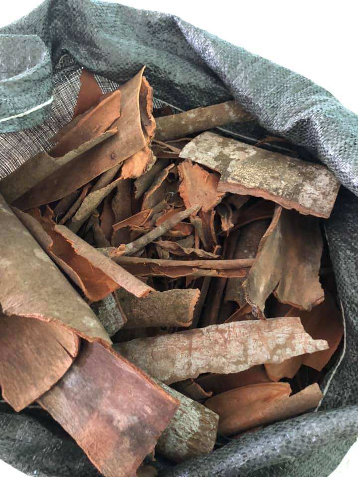 VIETNAMESE SPLIT CINNAMON SLICES – AGRICULTURAL & HERBAL SPICE INGREDIENT | WHOLESALE EXPORT 2