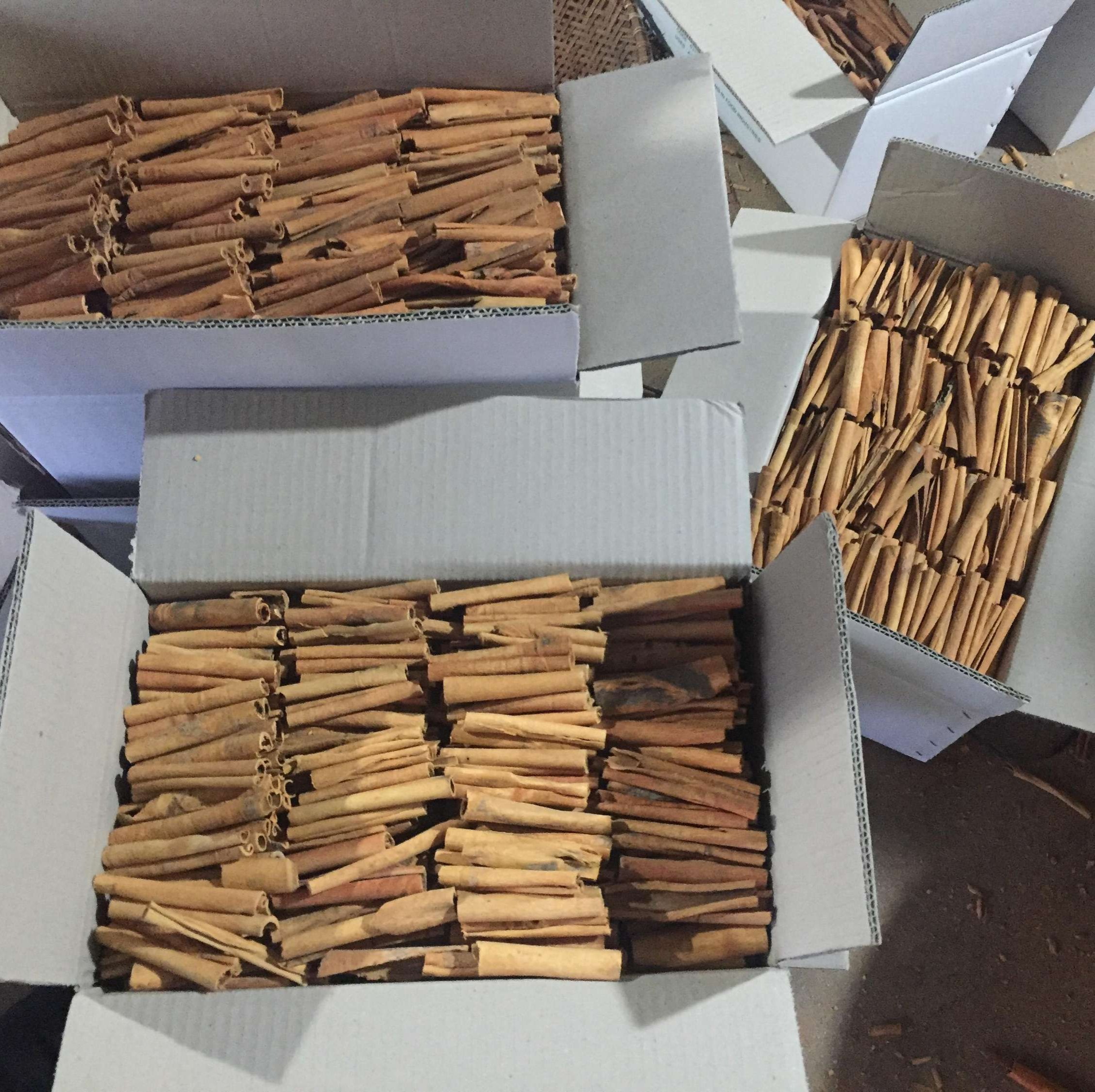 PREMIUM NATURAL VIETNAMESE CINNAMON TWIGS – FINE CUT | 24-MONTH SHELF LIFE | WHOLESALE 2