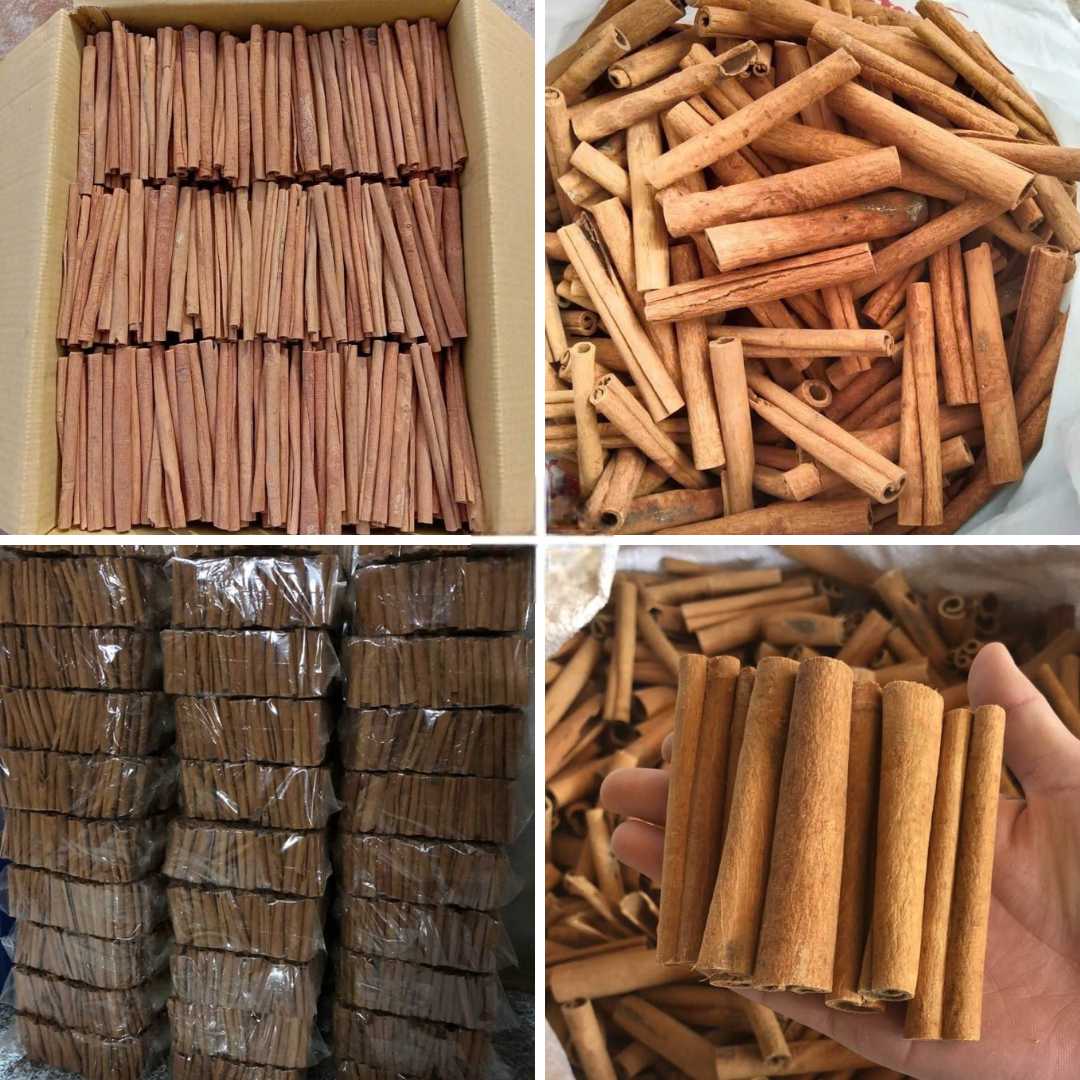 PREMIUM VIETNAMESE CINNAMON STICKS – SHORT & LONG CUT | HIGH OIL CONTENT | CLEAN DRIED SPICE 3