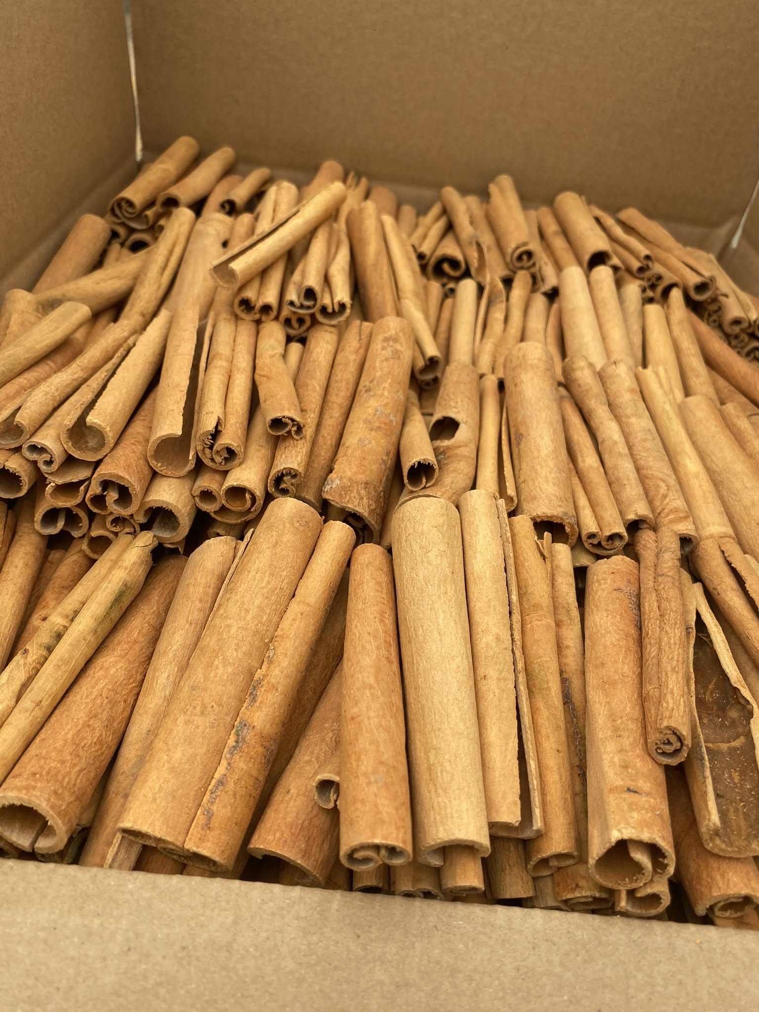 PREMIUM DRIED VIETNAMESE CASSIA CINNAMON STICKS – NATURAL SINGLE SPICE | WHOLESALE 2