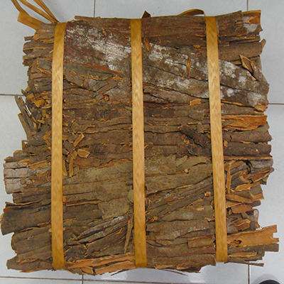 VIETNAMESE CASSIA CINNAMON STICKS – NATURAL SPICE FOR TEA, BEVERAGES & FOOD PROCESSING 3