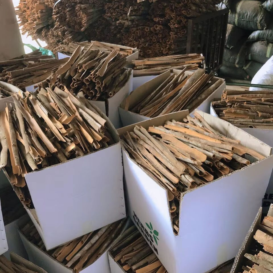 DRIED VIETNAMESE CASSIA CINNAMON ROLLS – SINGLE INGREDIENT SPICE | 1KG | WHOLESALE EXPORT 4