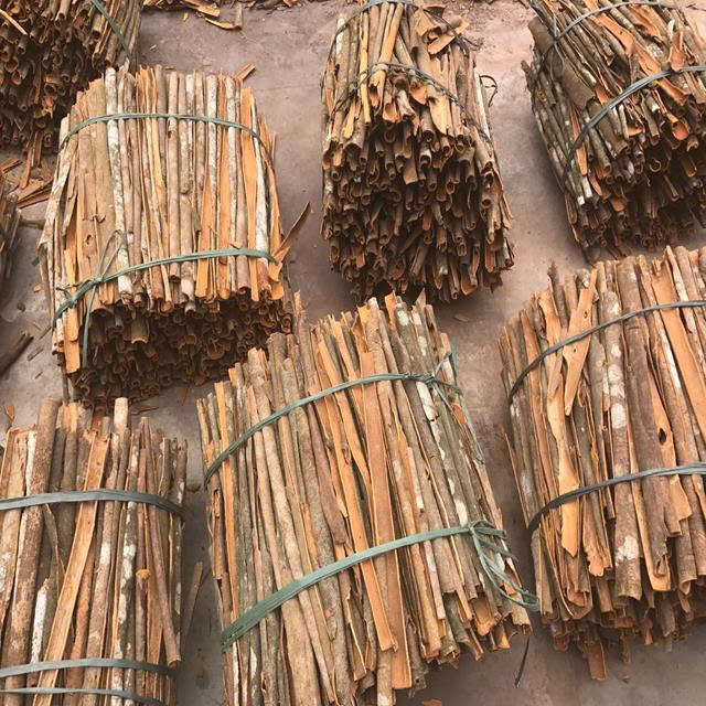 PREMIUM VIETNAMESE CASSIA CINNAMON STICKS – DIRECT FROM VIETNAM | WHOLESALE EXPORT 2
