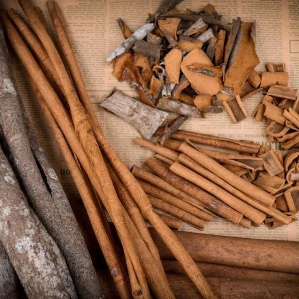 PREMIUM VIETNAMESE CINNAMON – ROUND CUT & SHREDDED | WHOLESALE AGRICULTURAL SPICE 4