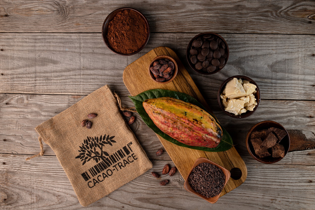 PREMIUM DUTCHED / ALKALIZED VIETNAMESE COCOA POWDER – FOOD GRADE | 25KG KRAFT BAG | BULK SUPPLY 4