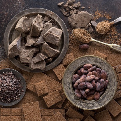 PREMIUM NATURAL VIETNAMESE COCOA POWDER – BULK WHOLESALE | OEM / ODM EXPORT SUPPLY
