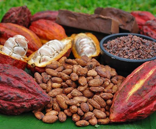 PREMIUM RAW COCOA POWDER – 10KG | BAKERY INGREDIENT | PRIVATE LABEL OEM 2