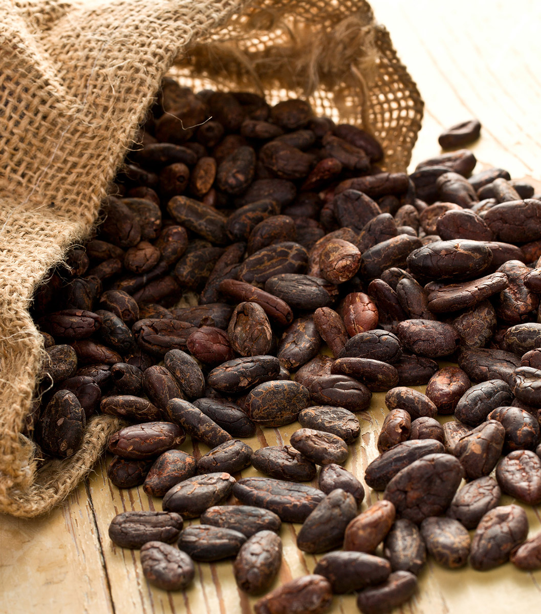 PREMIUM RAW COCOA POWDER – 10KG | BAKERY INGREDIENT | PRIVATE LABEL OEM 3