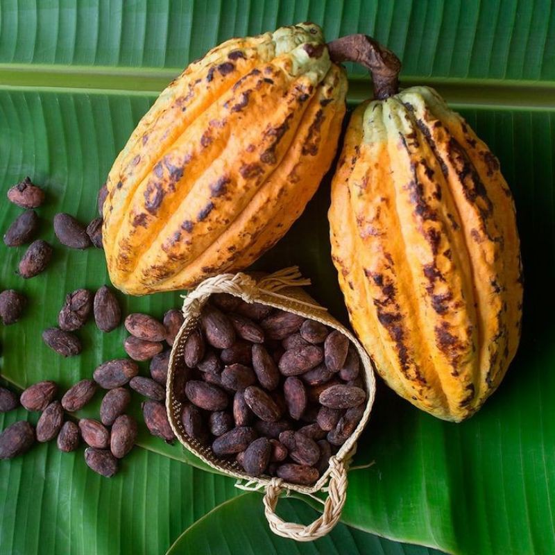 PREMIUM RAW COCOA POWDER – 10KG | BAKERY INGREDIENT | PRIVATE LABEL OEM 4