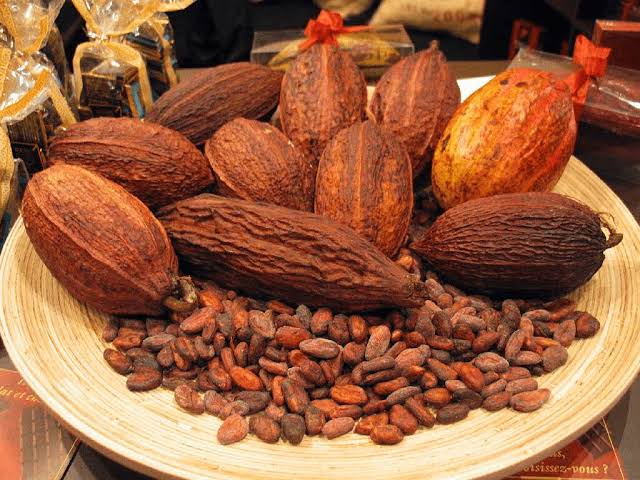 PREMIUM ORGANIC BLACK COCOA POWDER – 100% COCOA | 1KG | FOOD & BEVERAGE INGREDIENT 3